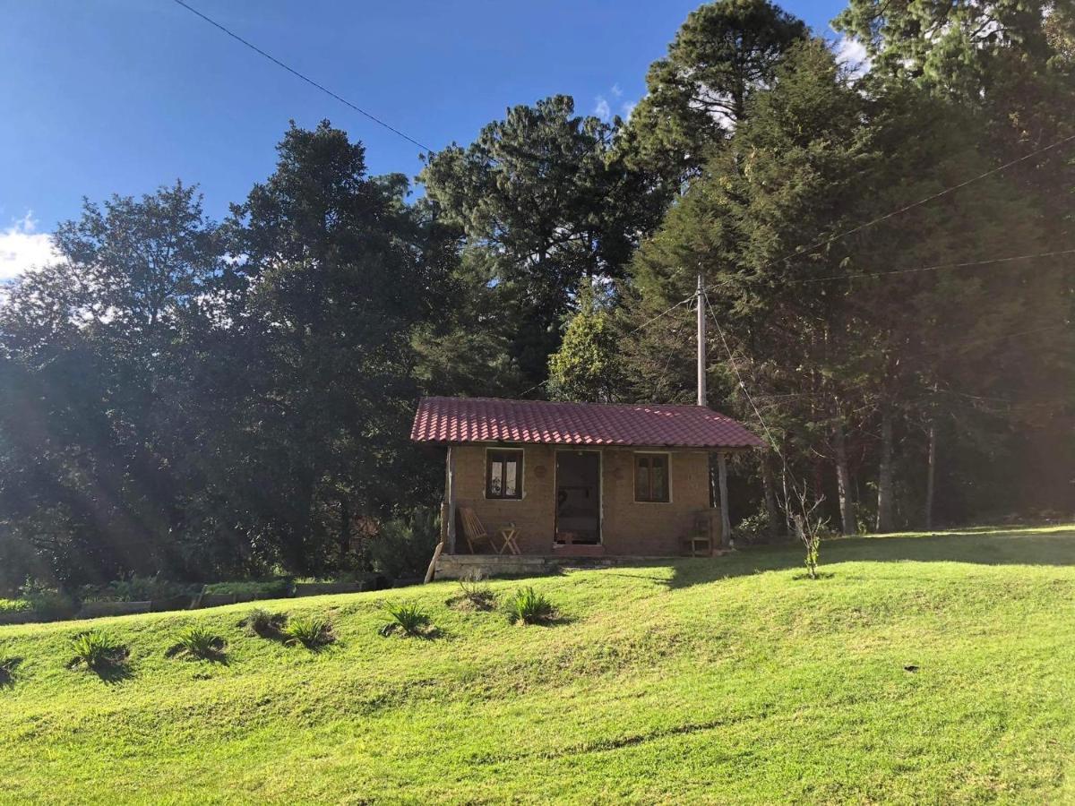 Hotel Gaia Nature San Cristóbal de Las Casas Exterior foto